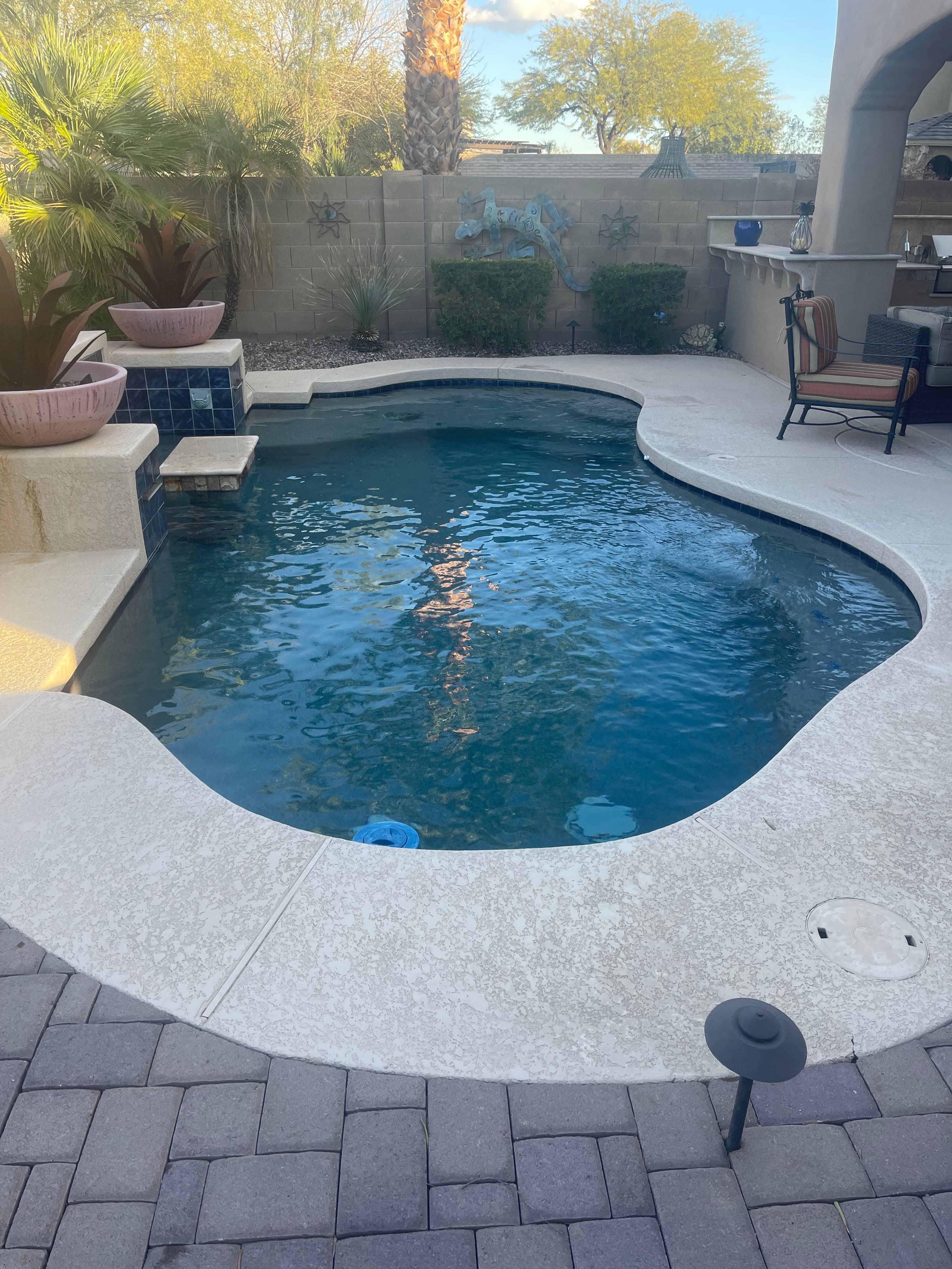 Pool Hounds work example 5