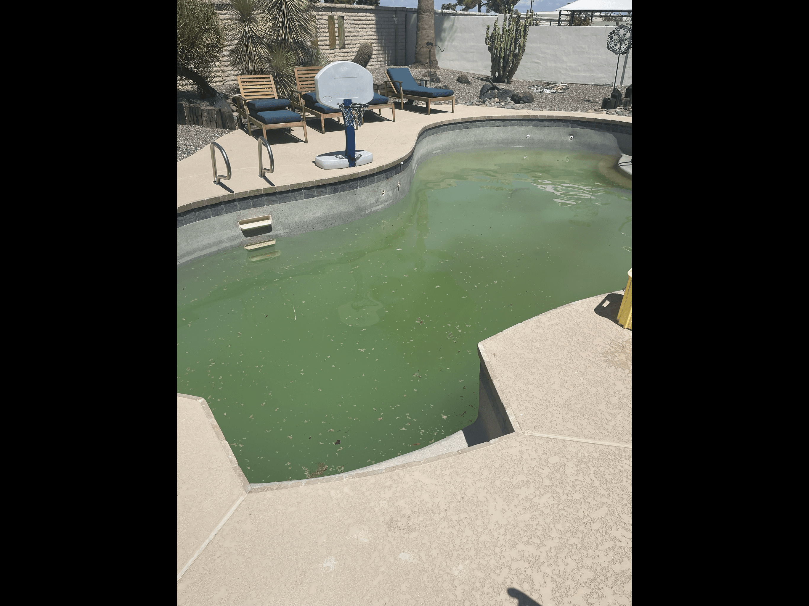 Before: Green pool